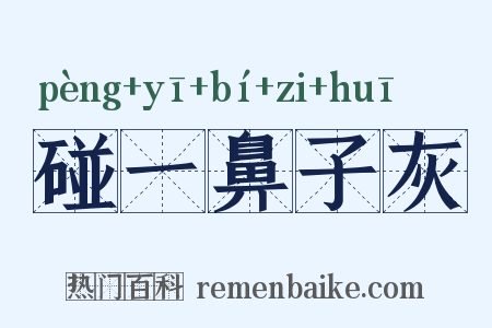 碰一鼻子灰是什么意思的图片